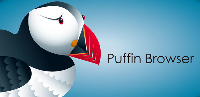 Puffin Browser
